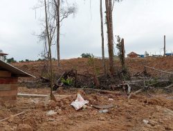 Masyarakat Beuregang Aceh Barat Minta Tanah Dibawah IUP PT. AJB Segera di Bebaskan